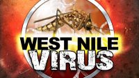 Το πρώτο περιστατικό από τον ιό του Δυτικού Νείλου για το 2017
