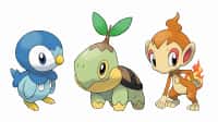 Το Pokemon Go μας προετοιμάζει για την 4η Γενιά - Pokemon GO