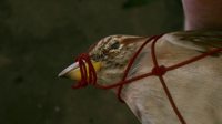The Quiet Man - Silence Rings Loudest Trailer - The Quiet Man Pc