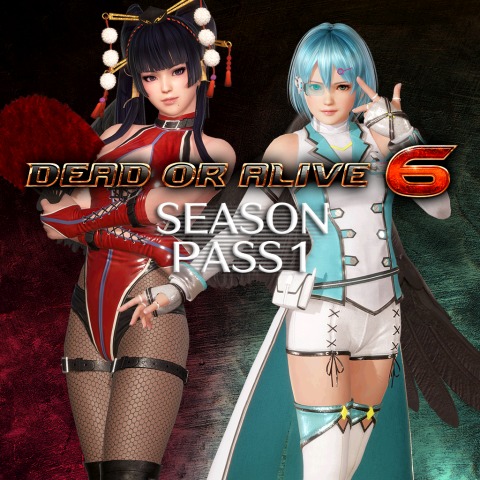 DOA 6