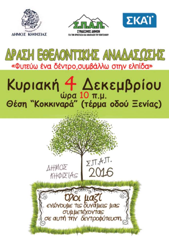 anadasosi_kikkinaras-01.jpg