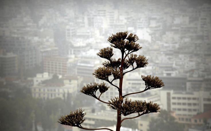 πρέπει-να-προσέξουμε-λόγω-της-αφρικανικής-σκόνης.jpg