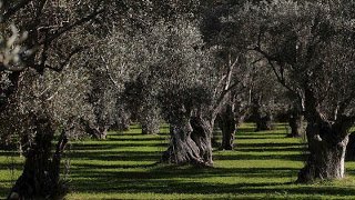 με-βιβλιάρια-υγείας-για-την-αντιμετώπιση-των-επιπτώσεων-της-κλιματικής-αλλαγής.jpg