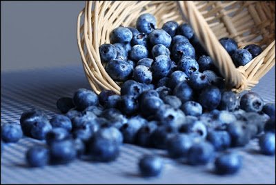 Vaccinium-myrtillus-και-άγρια-μύρτιλα-bilberries-super-foods-για-μεταβολικό-σύνδρομο-παχυσαρκία-διαβήτη-καρδιά-καρκίνο-μάτια-αντιγήρανση.jpg