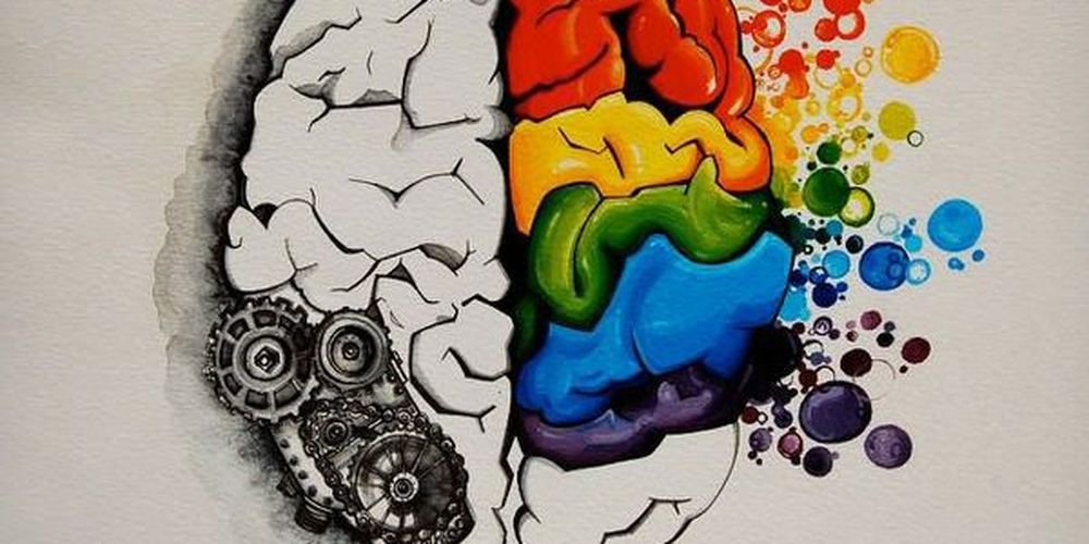 brain