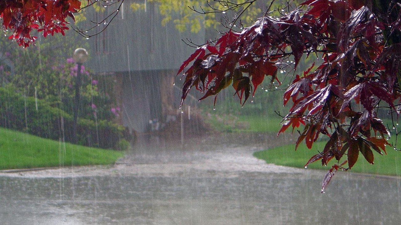 rain-1