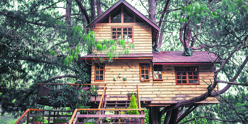 dentrospito-airbnb-500