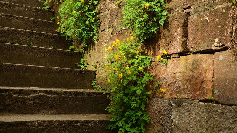 stairs-1404722_1280