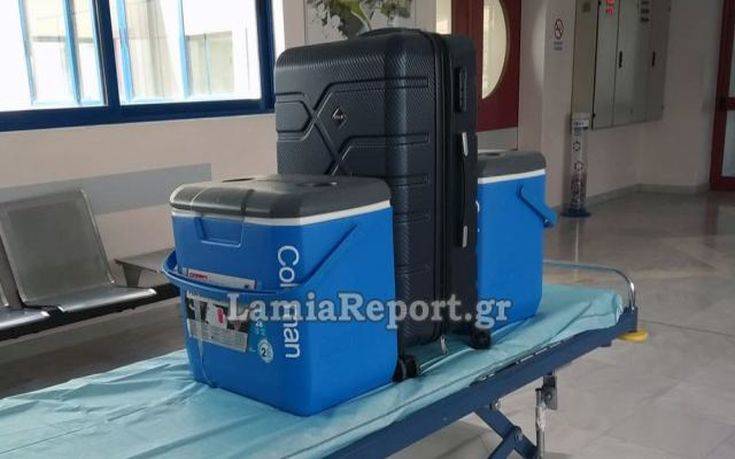 μεταμοσχευσι