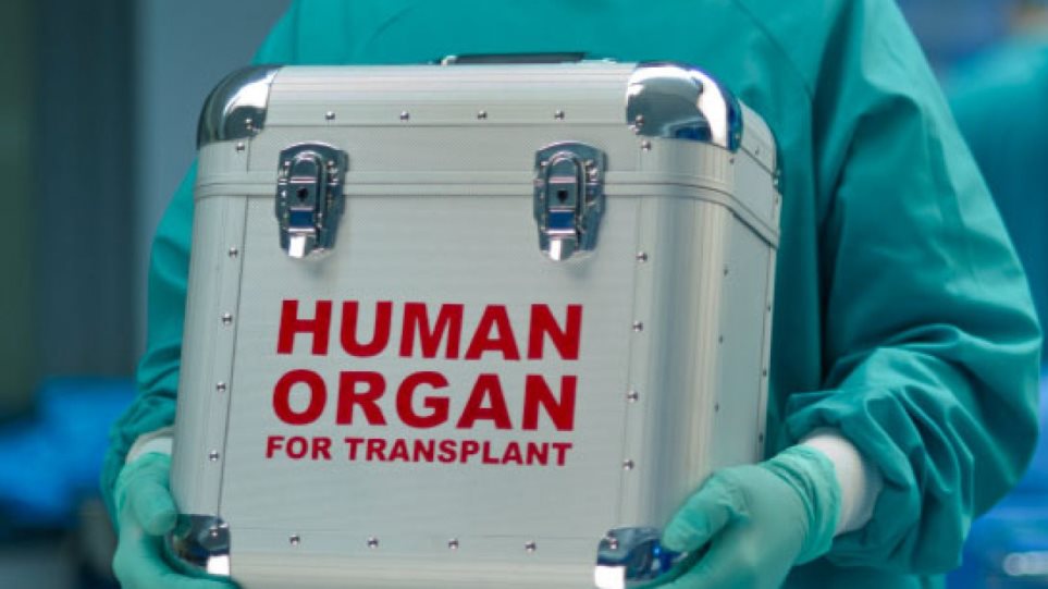 transplant