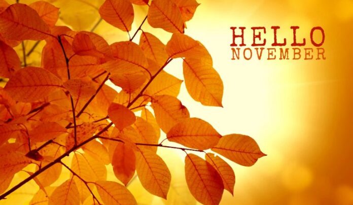 1509533919432_november_1034-768x446