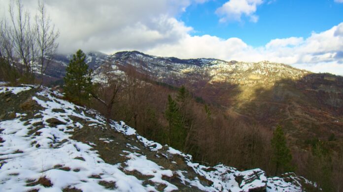 DJI_0263