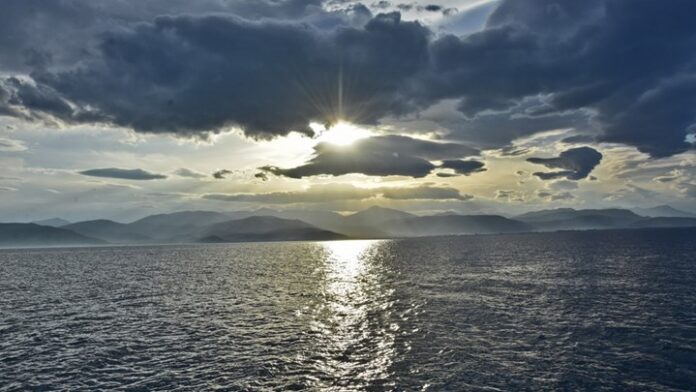 sunnefia