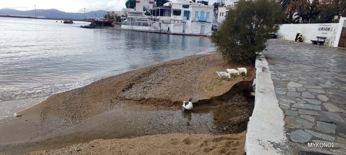 kakokairia-vroxi-mykonos-koutsoukos-3