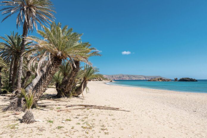 11.-Βάι-Κρήτη-2048x1367 (2)