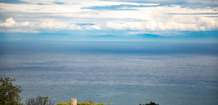 sunnefia (2)