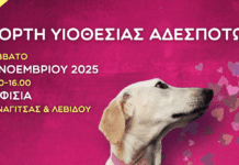 ΜΕΓΑΛΗ ΓΙΟΡΤΗ ΥΙΟΘΕΣΙΑΣ ΑΔΕΣΠΟΤΩΝ ΖΩΩΝ, 15/11 ΣΤΗΝ ΚΗΦΙΣΙΑ