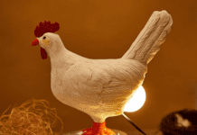 Με τόσα Led θα γίνει η Κηφισιά η Πόλη των Luminati ?