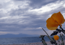 Ο Καιρός σήμερα Δευτέρα 13 Απριλίου