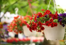 Ο Καιρός σήμερα 29 Απριλίου