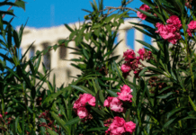 Ο Καιρός σήμερα 21 Απριλίου