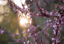 Ο Καιρός σήμερα 30 Απριλίου