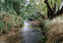 Εγκρίθηκε το έργο διευθέτησης του ρέματος Χελιδονούς στην Κηφισιά