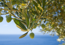 Ο Καιρός σήμερα 16 Ιουλίου